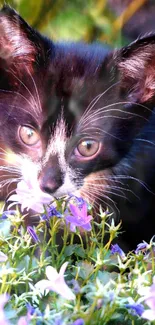 Black and white kitten in purple flowers.