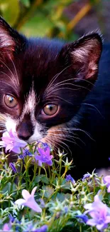 Cute kitten sniffing purple flowers in garden.