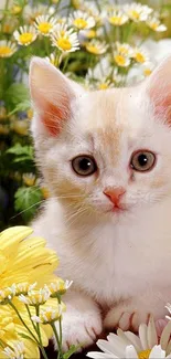 Cute kitten surrounded by yellow and white flowers in a garden setting.