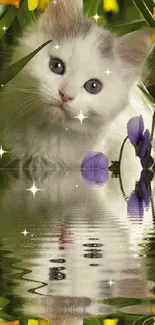 Kitten in a flower garden with water reflection.