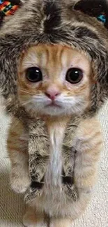 Cute kitten wearing a fluffy hat with big eyes in a warm, beige tone wallpaper.