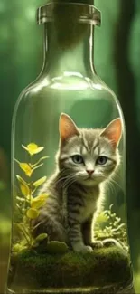 Cute kitten inside a glass bottle with a forest background.