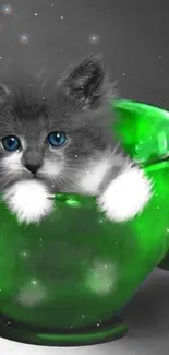 Fluffy kitten peeking from a vibrant green teacup.