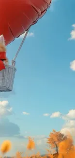Kitten in a basket under a heart-shaped balloon floating in a clear blue sky.