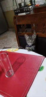 Adorable kitten sitting at a kitchen table with a red placemat.