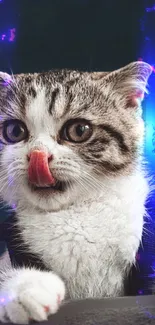 Cute kitten with pink tongue and neon lights on mobile wallpaper.