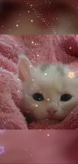 Adorable kitten wrapped in pink fluffy blanket with star effects.