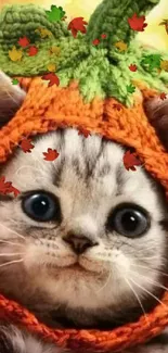 Adorable kitten in knitted pumpkin hat with bright background.