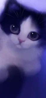 Adorable black and white kitten with a purple background.