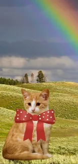 Cute kitten with bowtie in a vibrant rainbow field scene.