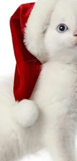 Adorable white kitten wearing a red Santa hat, perfect for mobile wallpaper.