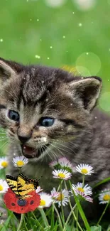 Adorable kitten playing among flowers in a lush green garden.