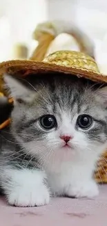 Cute gray kitten with a straw hat lies comfortably.