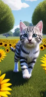 A cute kitten walks through a sunflower field under a vibrant blue sky.