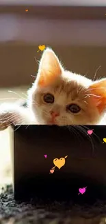 Cute kitten peeks from box in warm lighting, ideal for phone wallpaper.