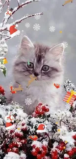 Cute kitten sitting among snowy berries and branches.