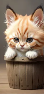 Cute orange-striped kitten in wooden bucket wallpaper.