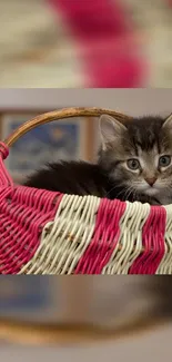 Fluffy kitten nestled in a pink and white woven basket, perfect for a cute wallpaper.