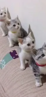 Five cute kittens in a row on a beige sofa.