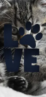 Adorable kitten with 'LOVE' text in paw print design mobile wallpaper.