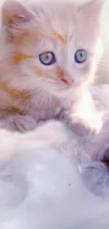 Adorable pale orange kitten with blue eyes sitting on soft fur.