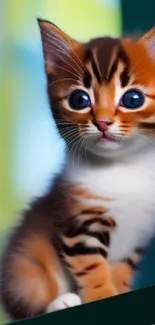 Adorable orange kitten with blue eyes on a vibrant background.