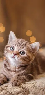 Adorable kitten resting on a cozy beige blanket with a warm bokeh background.