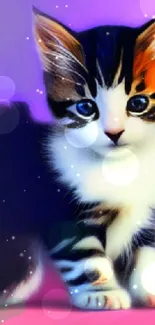 Adorable kitten with blue eyes on a purple and pink background wallpaper.