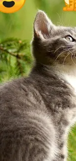 Cute fluffy kitten with heart emoji on a green background.