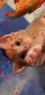 Cute orange kitten with red hearts wallpaper.