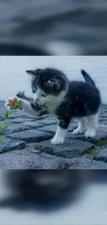 Cute kitten pawing at a plant on cobblestone path.