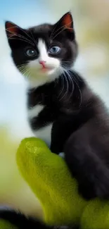 Adorable kitten sitting on a green glove with a blurred background.