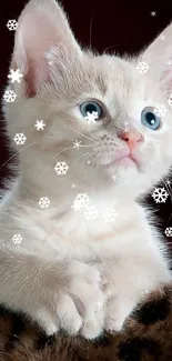 Cute cream kitten with blue eyes on leopard print.