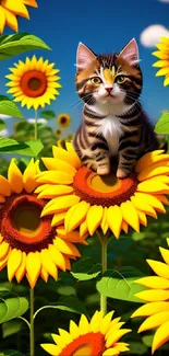 A cute kitten sits among vibrant sunflowers in a bright, sunny field.