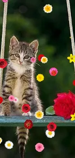 Adorable kitten sitting on a swing with a red rose, set against a green background.