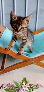 Cute kitten sits on a blue chair with floral design.
