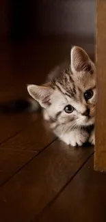 Adorable kitten peeking from behind a wooden surface, making a cute wallpaper.