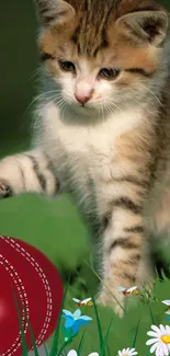 Adorable kitten playing with a red ball on a grassy field with flowers.