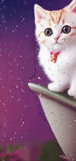 Cute kitten with raindrops on purple background.