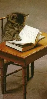 Cute kitten reading a book on a tiny wooden desk.