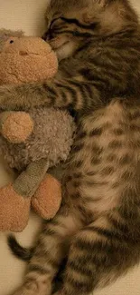 Cute kitten snuggling with a plush toy in a cozy scene.