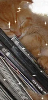 Ginger kitten sleeping on books, creating a cozy feel.