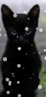 Adorable black kitten with snowflakes falling softly around.