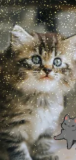 Cute kitten with starry night backdrop.