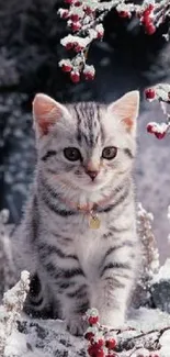 Adorable kitten in snowy winter scene with red berries.