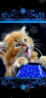 Cute orange kitten with blue floral border design as wallpaper.