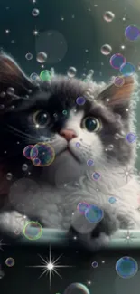 Cute kitten with bubbles in a dark setting.