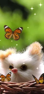 Fluffy kitten in basket with butterflies, nature backdrop.