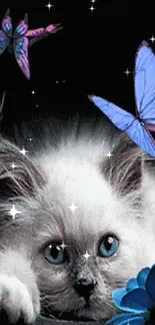 Fluffy white kitten with vibrant butterflies on dark background.