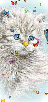 Fluffy kitten with blue eyes and butterfly.